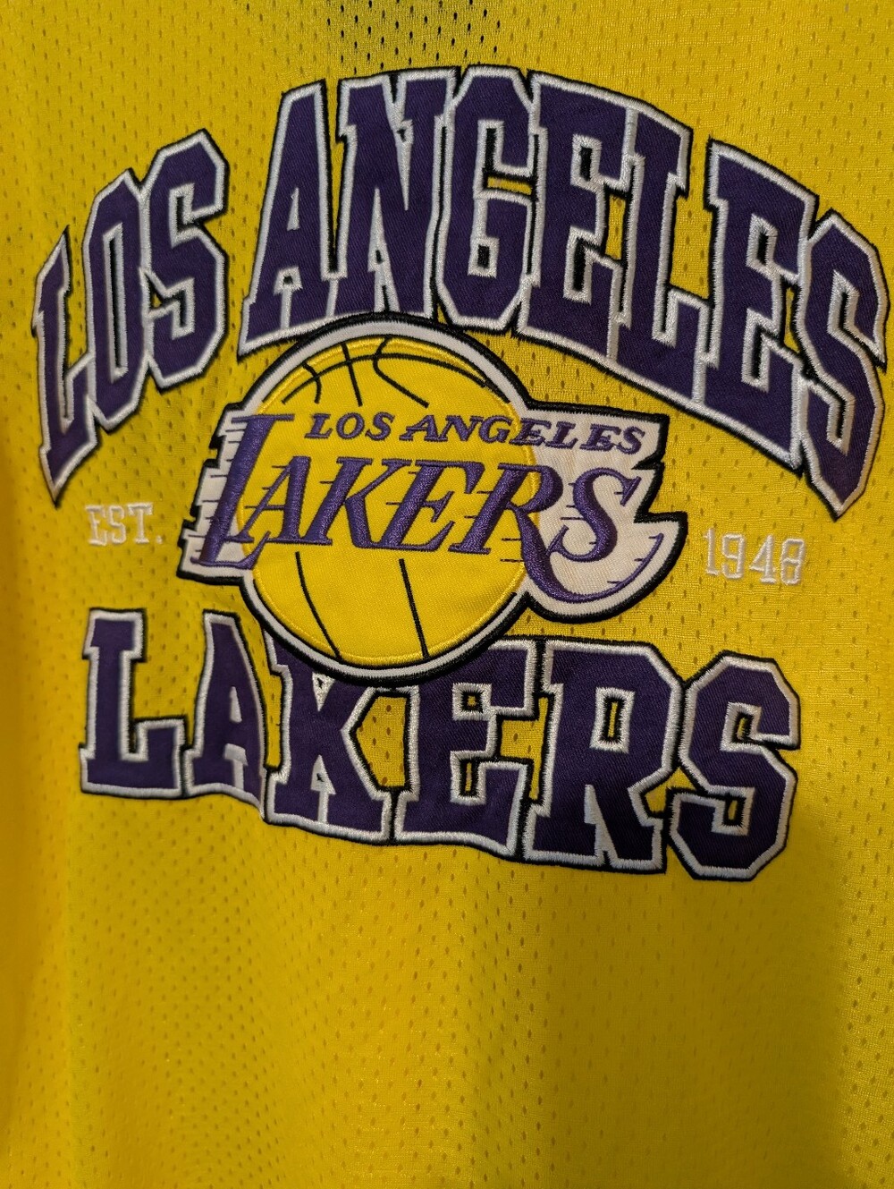 NBA Los Angeles Lakers Yellow and Purple Logo Jersey Top